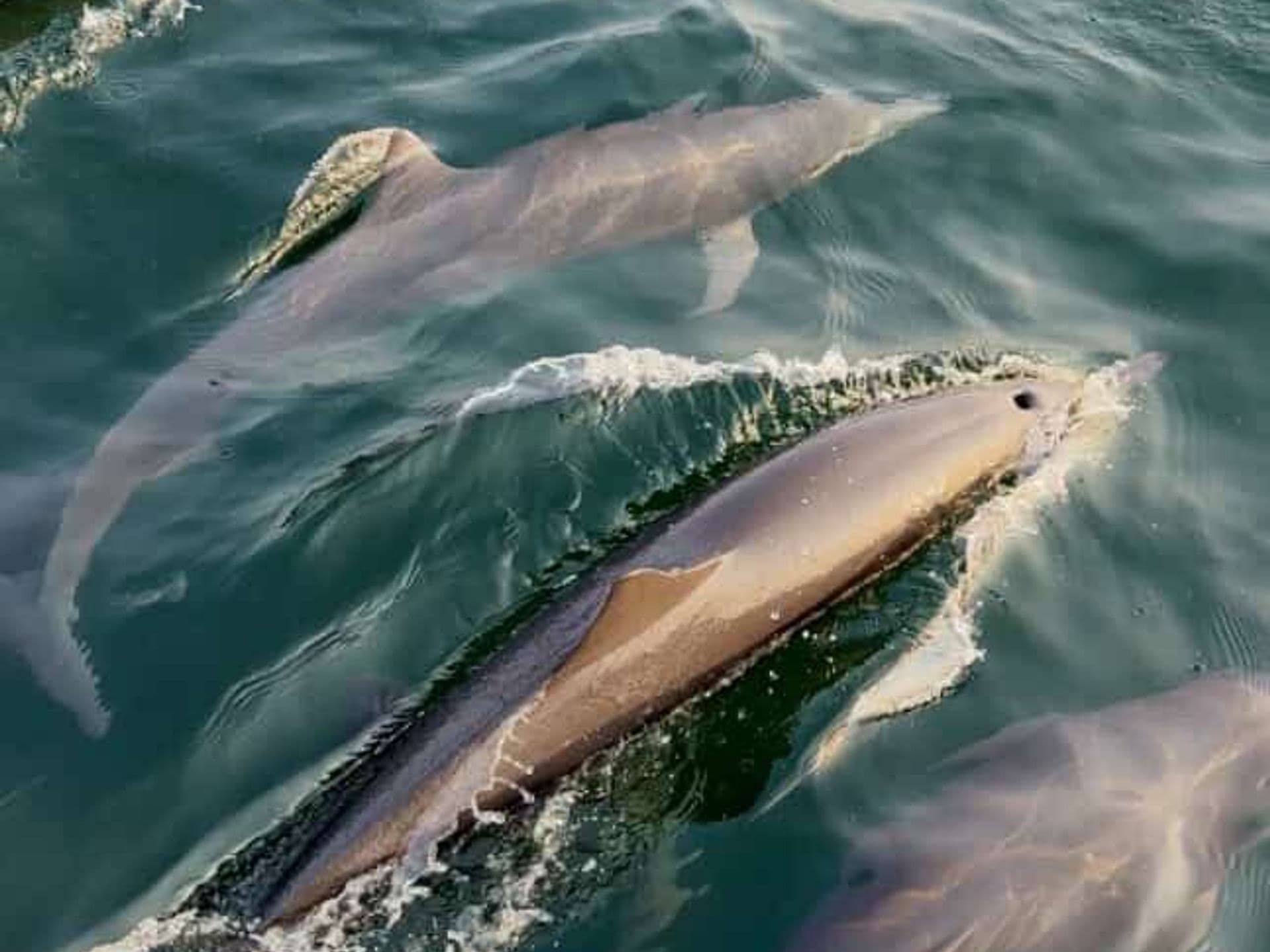 Coliving Puerto Escondido — photo 11