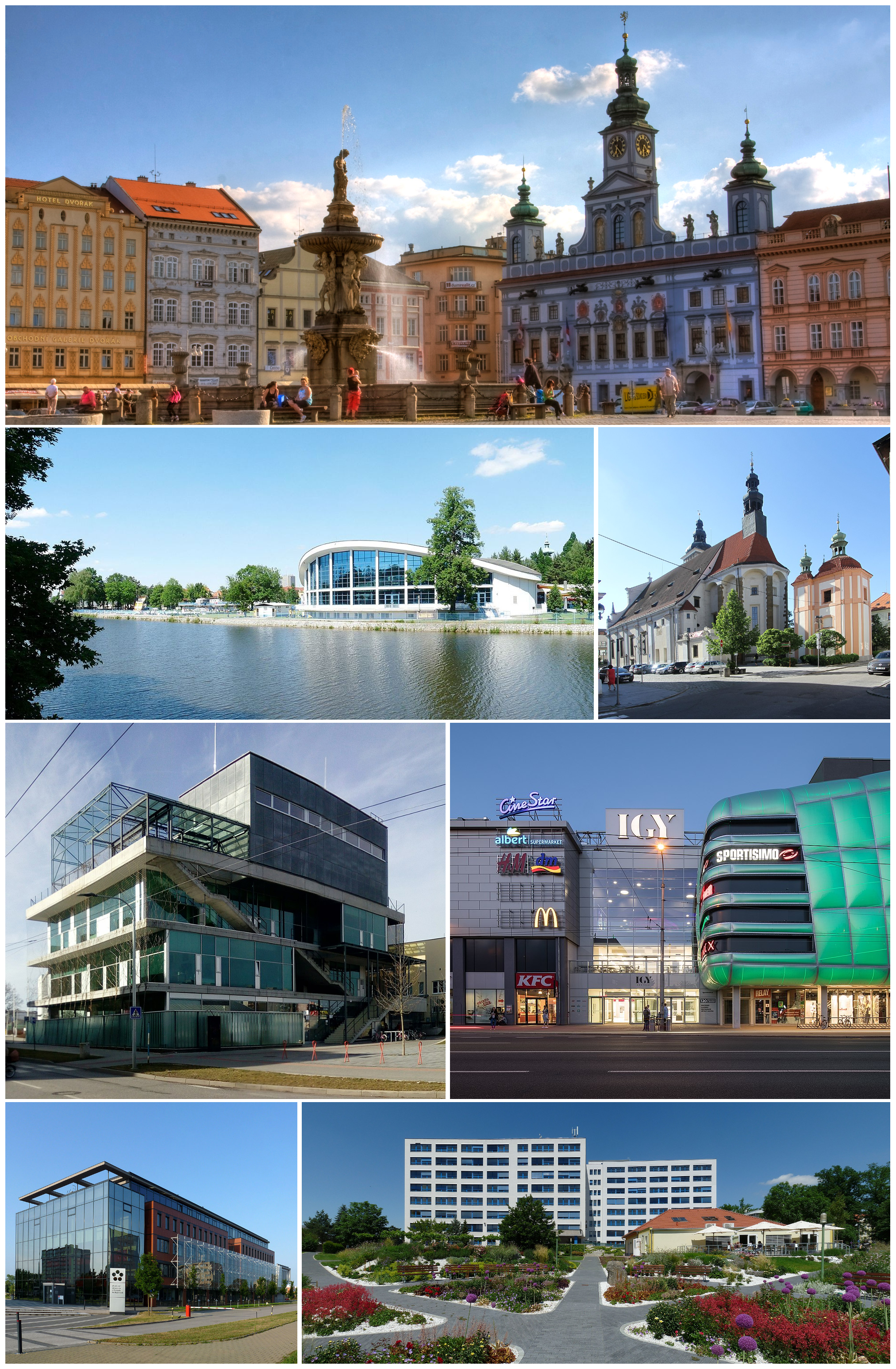 ÄeskĂŠ BudÄjovice
